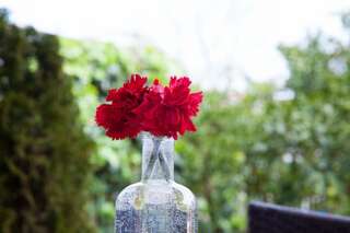 Гостевой дом Guest House Pasha Улцинь Стандартный двухместный номер с балконом и видом на сад-5